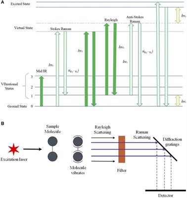 Applications of Raman Spectroscopy in Bacterial Infections: Principles, Advantages, and Shortcomings